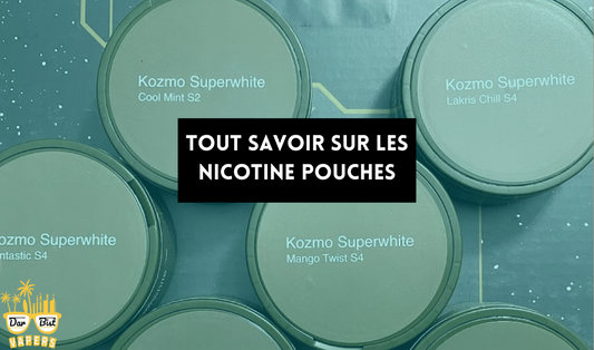 Tout savoir sur les nicotine pouches